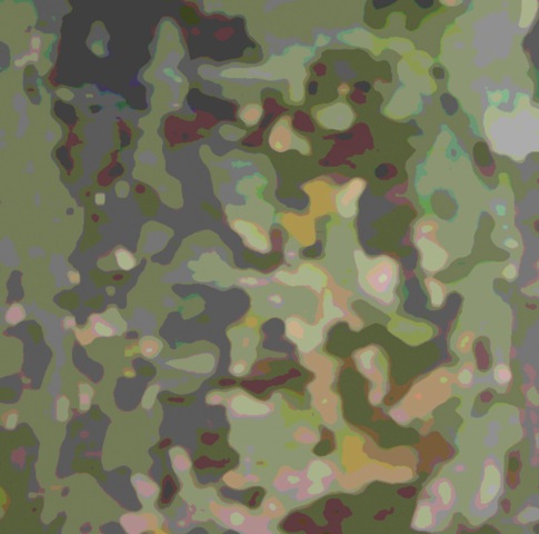 Loading Image