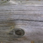 DSC02880
