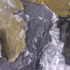 DSC04308